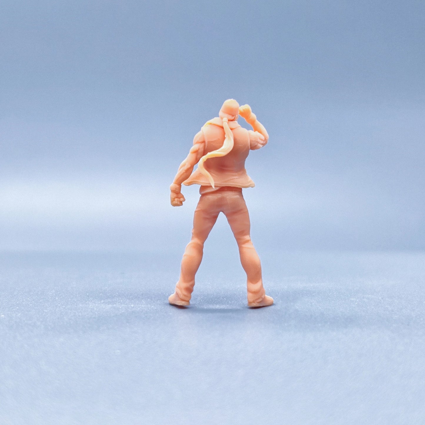 1/64 1/43 Figurines Scale Model Resin Standing Boxing Champion Terry Uncolored Miniatures Diorama Hand-painted V715