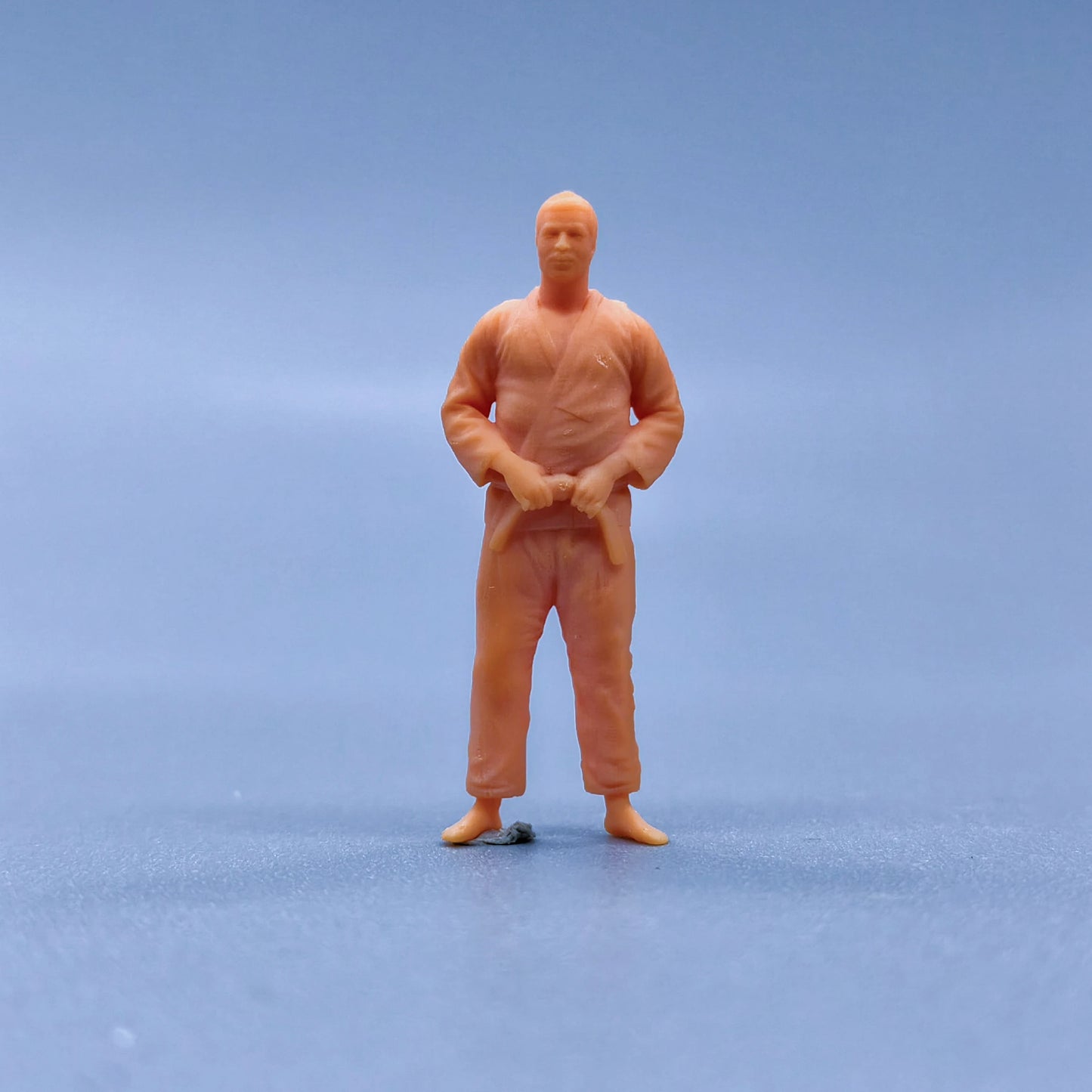 1/64 1/43 Figurines Scale Model Resin Male Judo Player Uncolored Miniatures Diorama Hand-painted L123