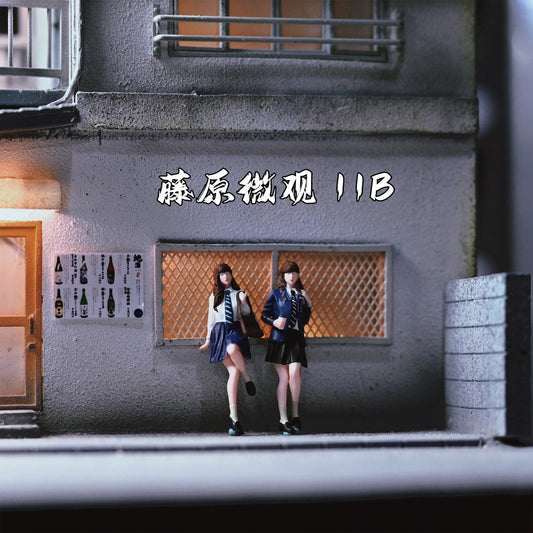 Fujiwara Miniature Diorama 1/64 Scale Figurines Model No.11B JK Sisters Duo Collection Miniature Hand-painted