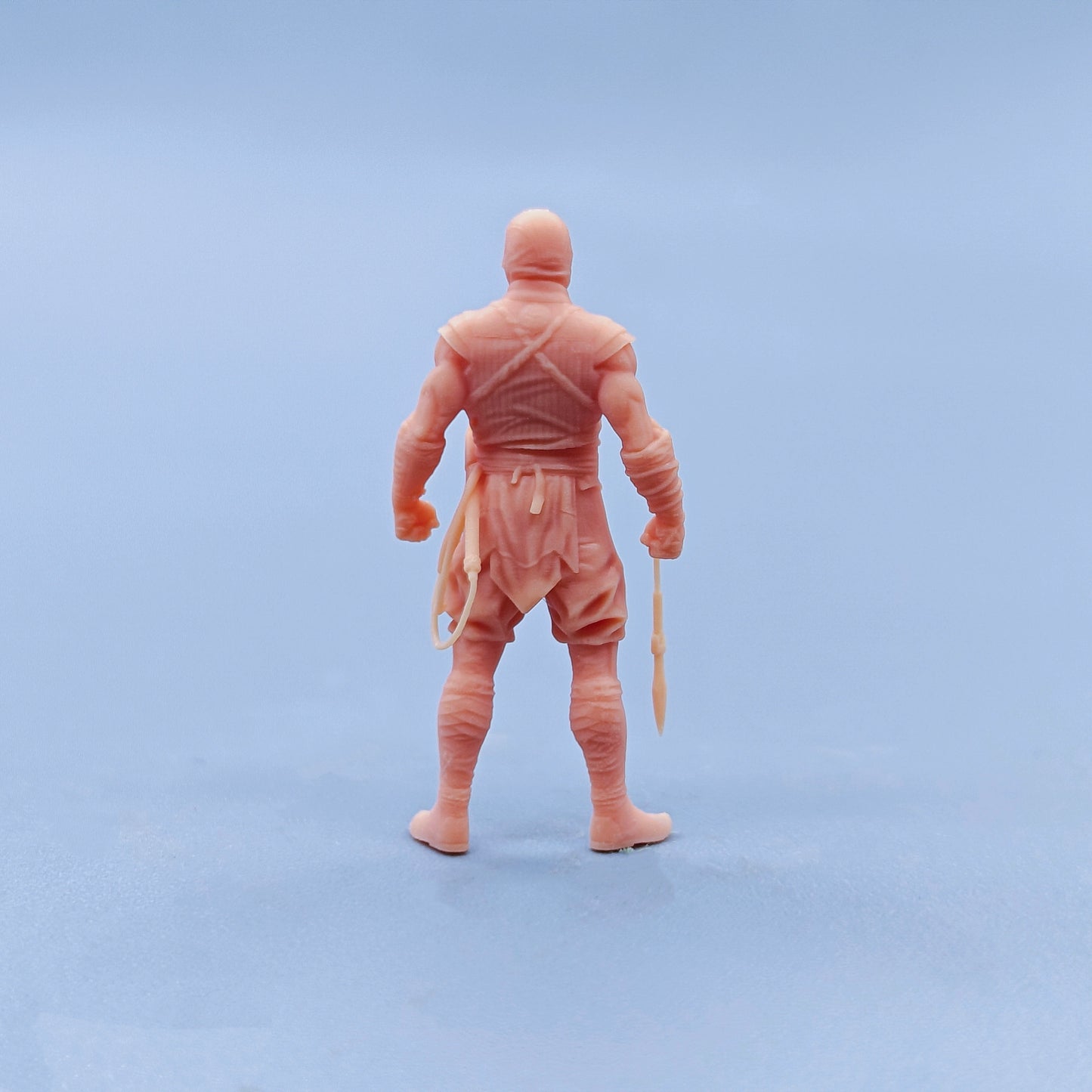 1/64 1/43 Figurines Scale Model Resin Mortal Fighter Scorpions Uncolored Miniatures Diorama Hand-painted D331 D332